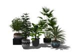 盆栽植物模型