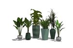 盆栽植物模型
