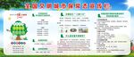 全国文明城市保常态宣传栏展板