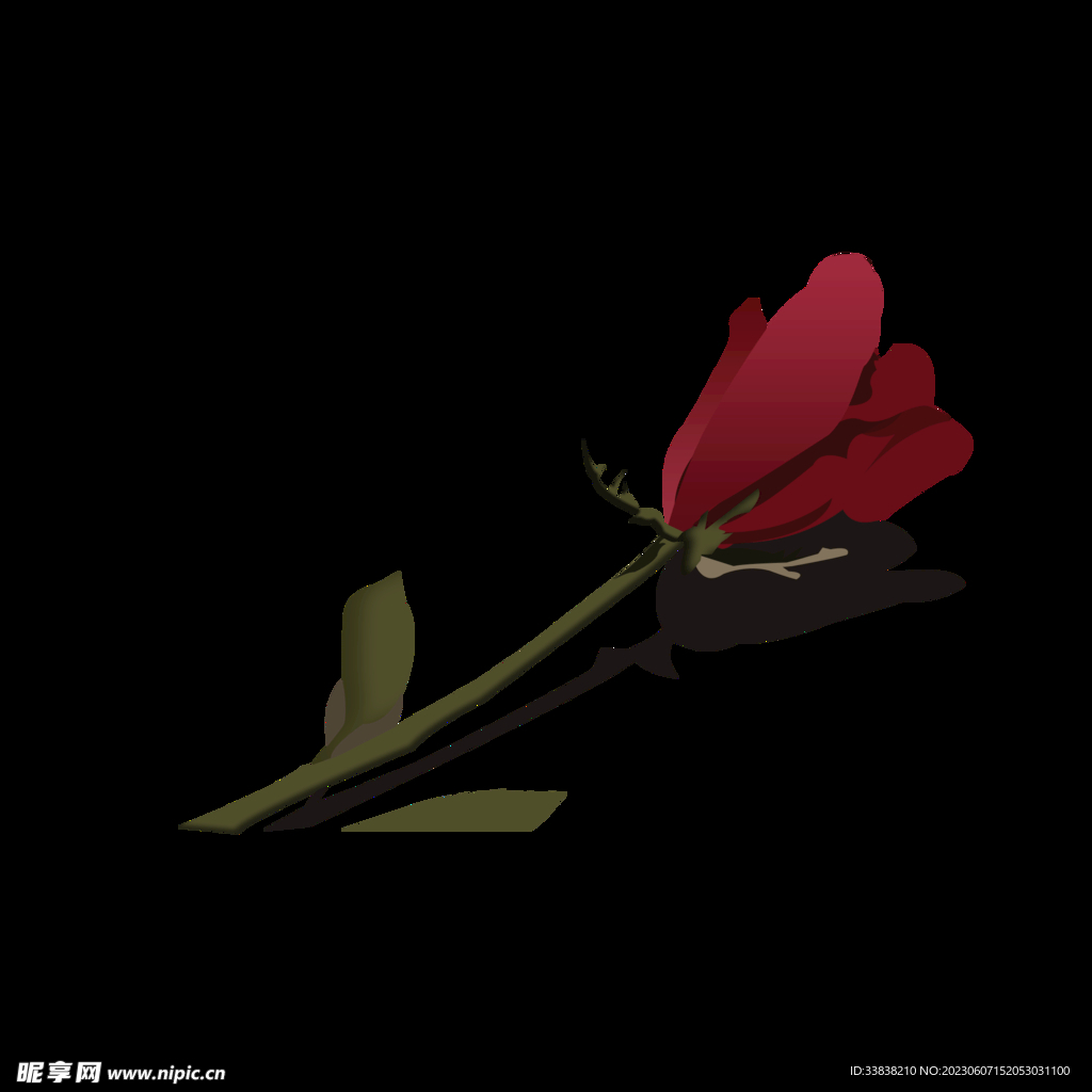  玫瑰花