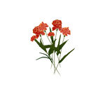  花束 