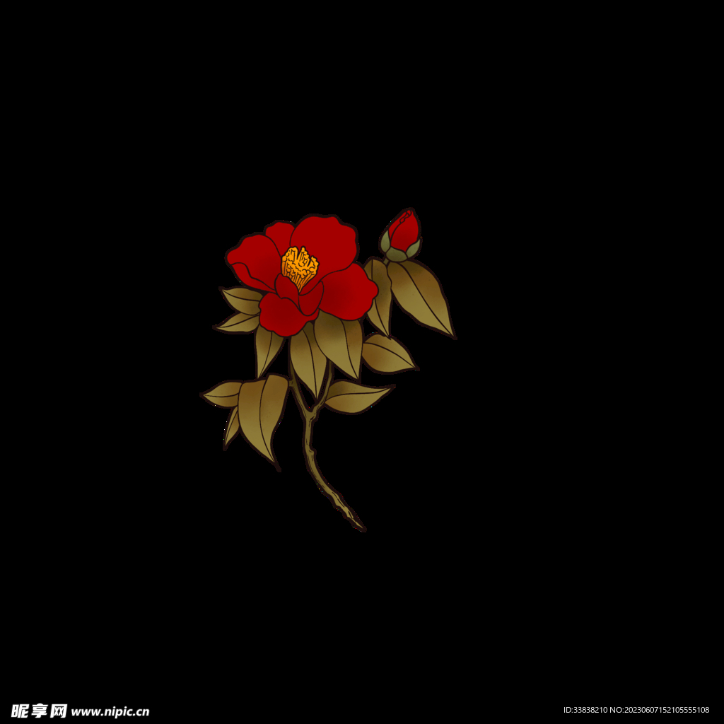 花卉