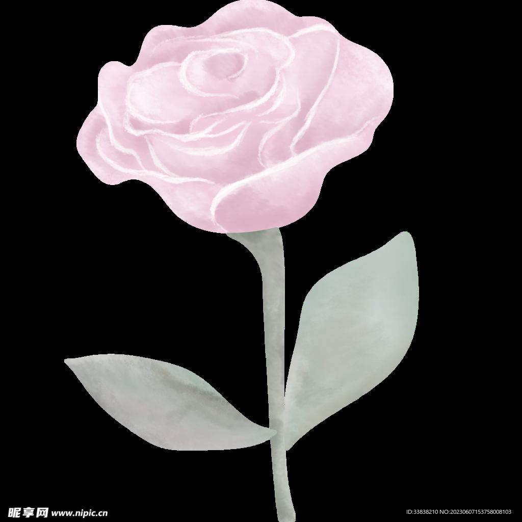 玫瑰花