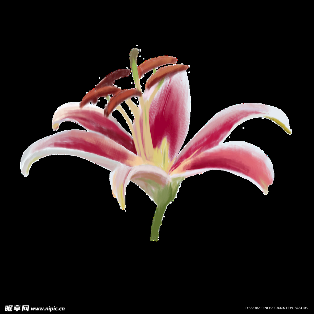 百合
