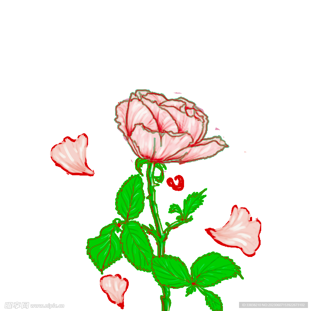  一束花
