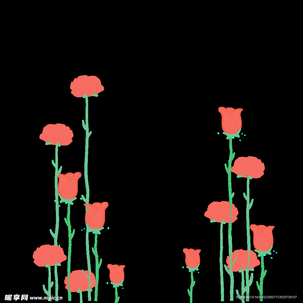 玫瑰花