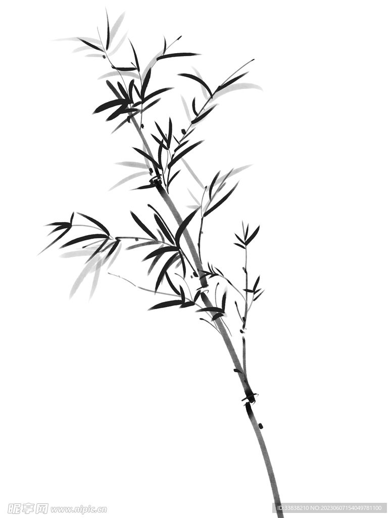 竹子 