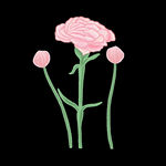 花卉