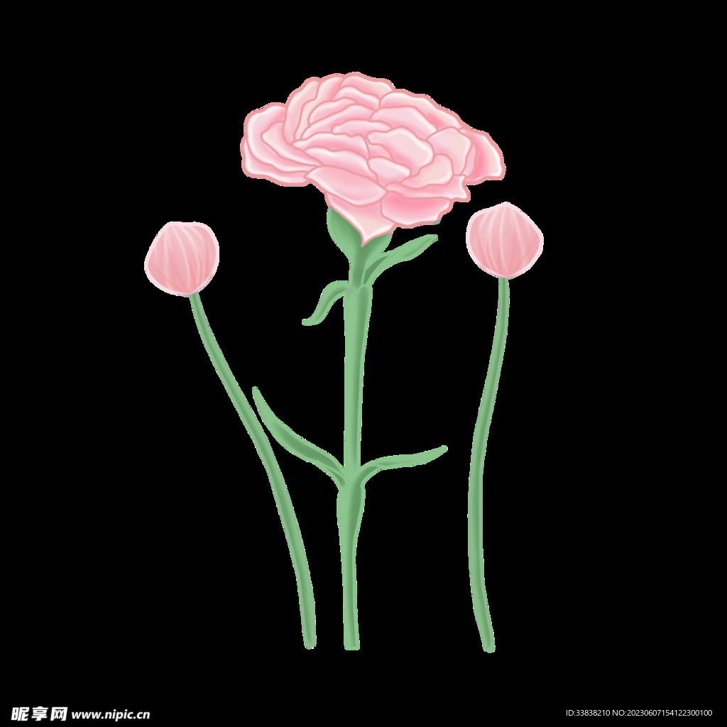 花卉