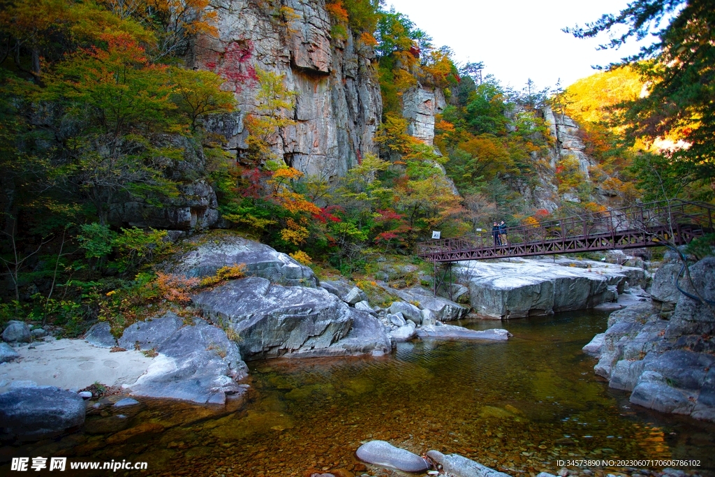 山谷秋天