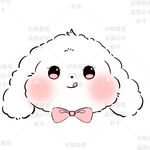 可爱的兔子