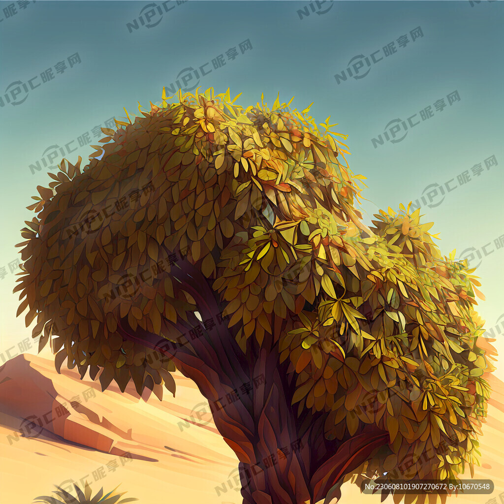 沙漠枣树