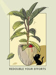植物与猫