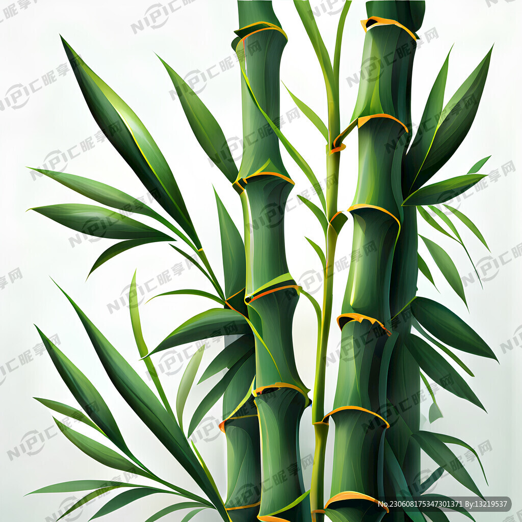 竹子 绿色 高清细节 插画