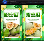 哈密瓜
