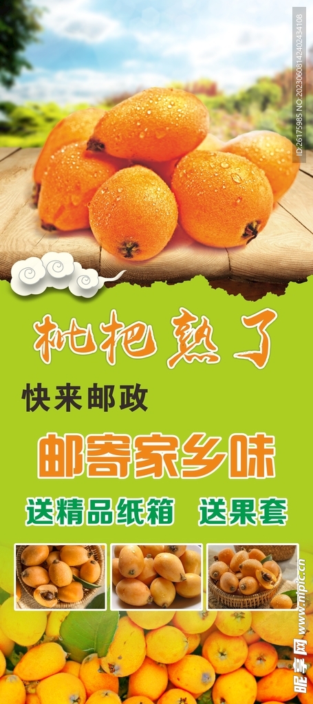 枇杷展架
