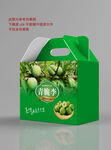 李子包装设计 平面展开图