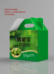 李子包装设计 平面展开图