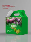 李子包装设计 平面展开图