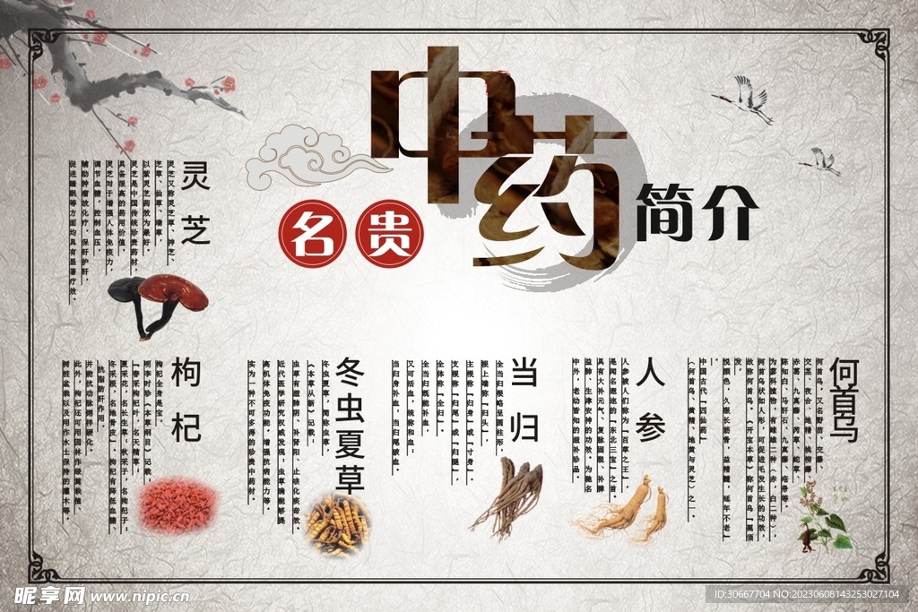 中药简介