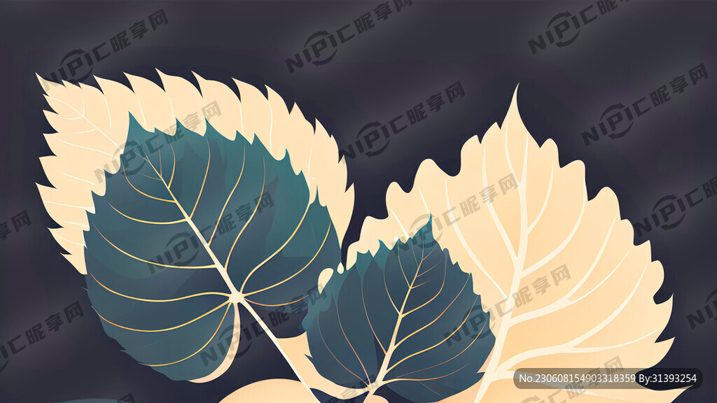 扁平风桑叶