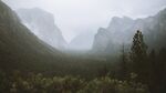 迷雾中的森林山崖