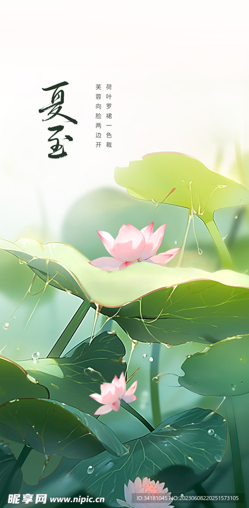 夏至