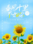 向日葵