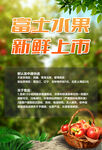 苹果 海报