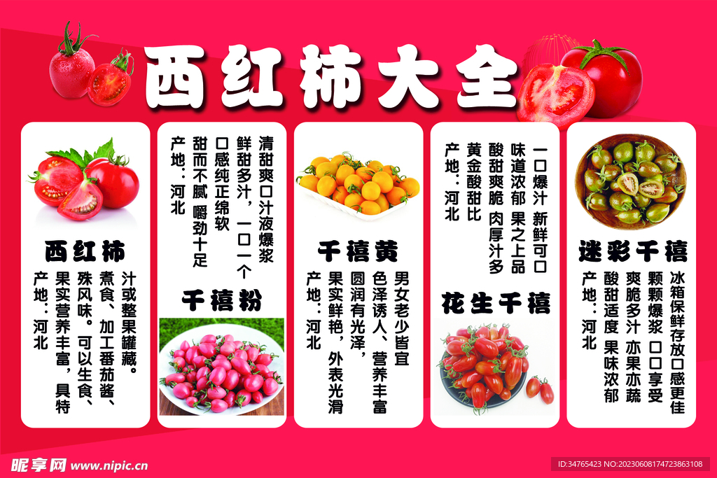 西红柿大全