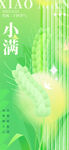 绿色中国风小满24节气海报 