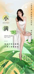 绿色中国风小满24节气海报