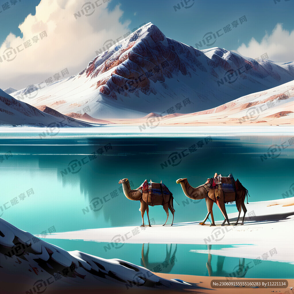 雪山 青海湖 骆驼 沙漠