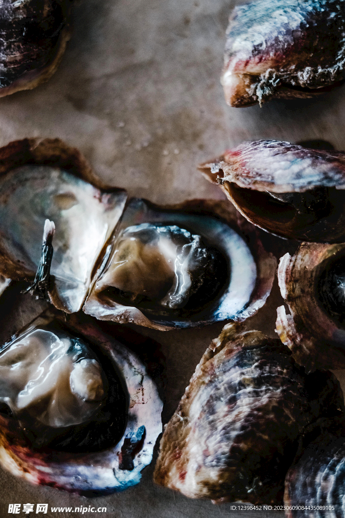 生蚝