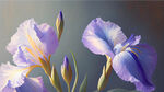 清晨柔和的光线里的鸢尾花；紫色和浅紫色，梵高风格；罗伯特哈根风格；写实的光线描绘；透气的光线；我不敢相信这是多么美丽；特写；加里梅切尔；大笔触松散的笔触