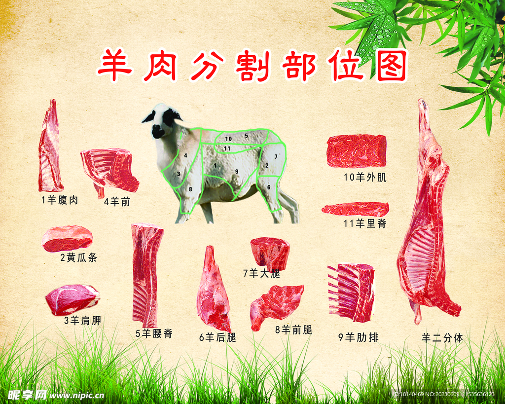手切羊肉摄影图__传统美食_餐饮美食_摄影图库_昵图网nipic.com