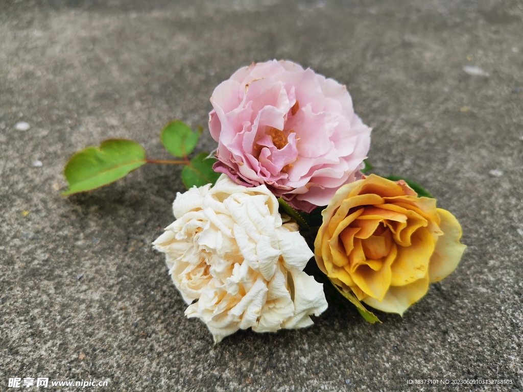残花