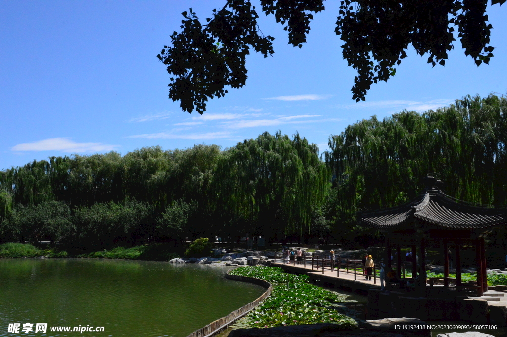 湖水风景