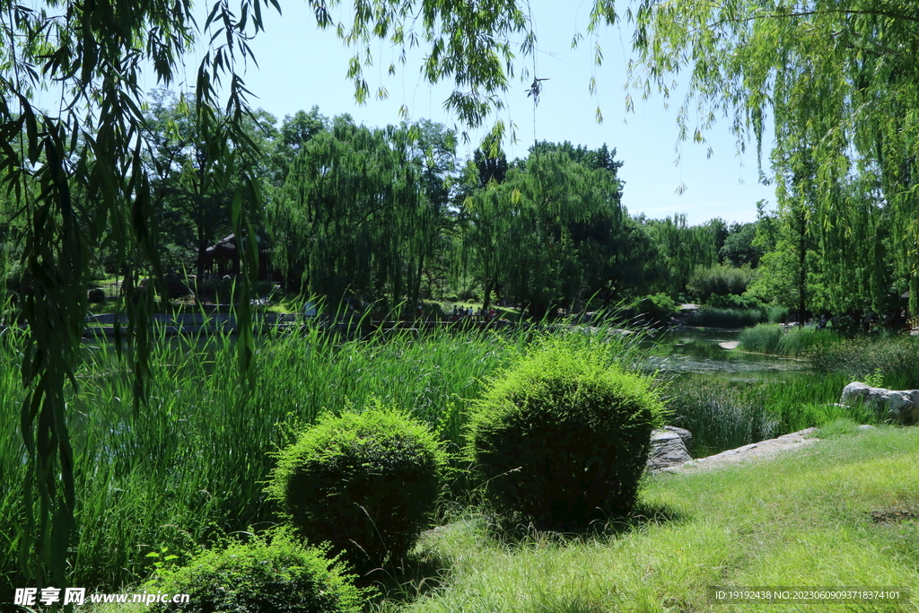 陶然亭风景 