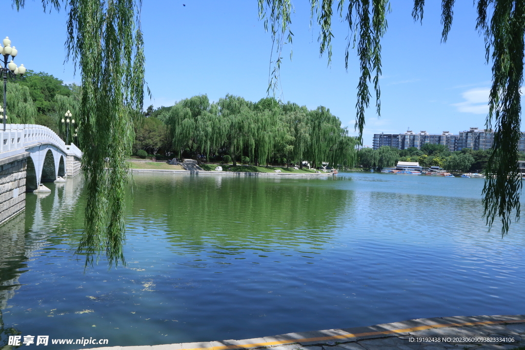 陶然亭风景 