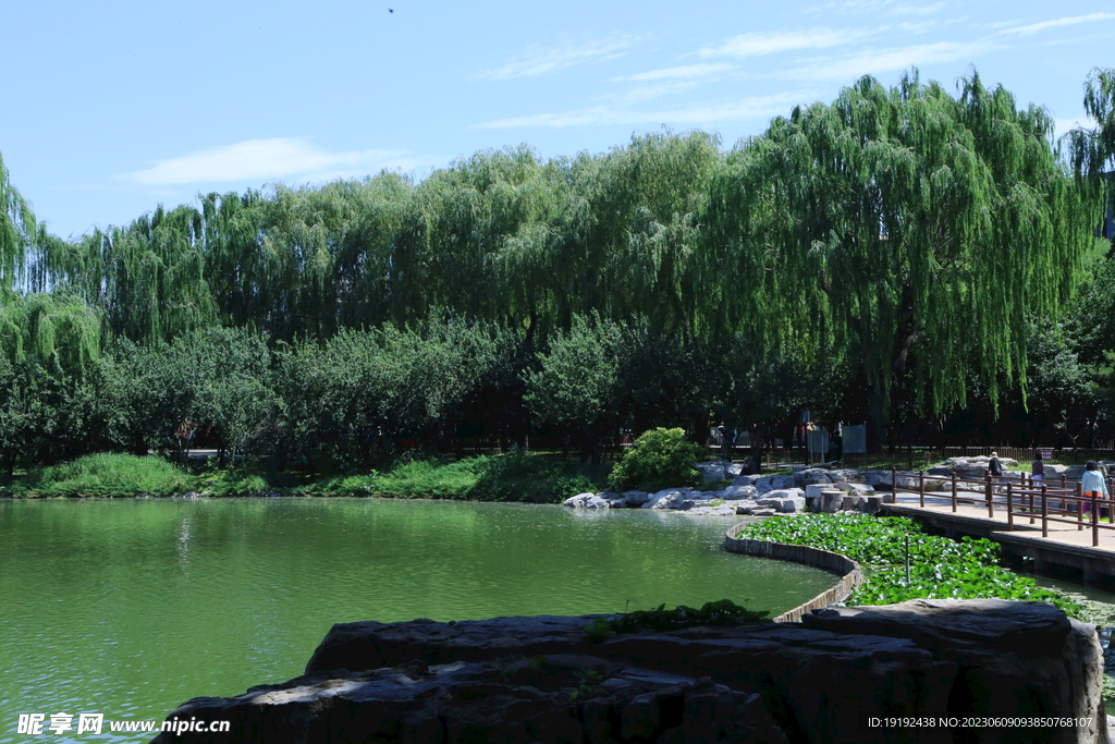 陶然亭风景 