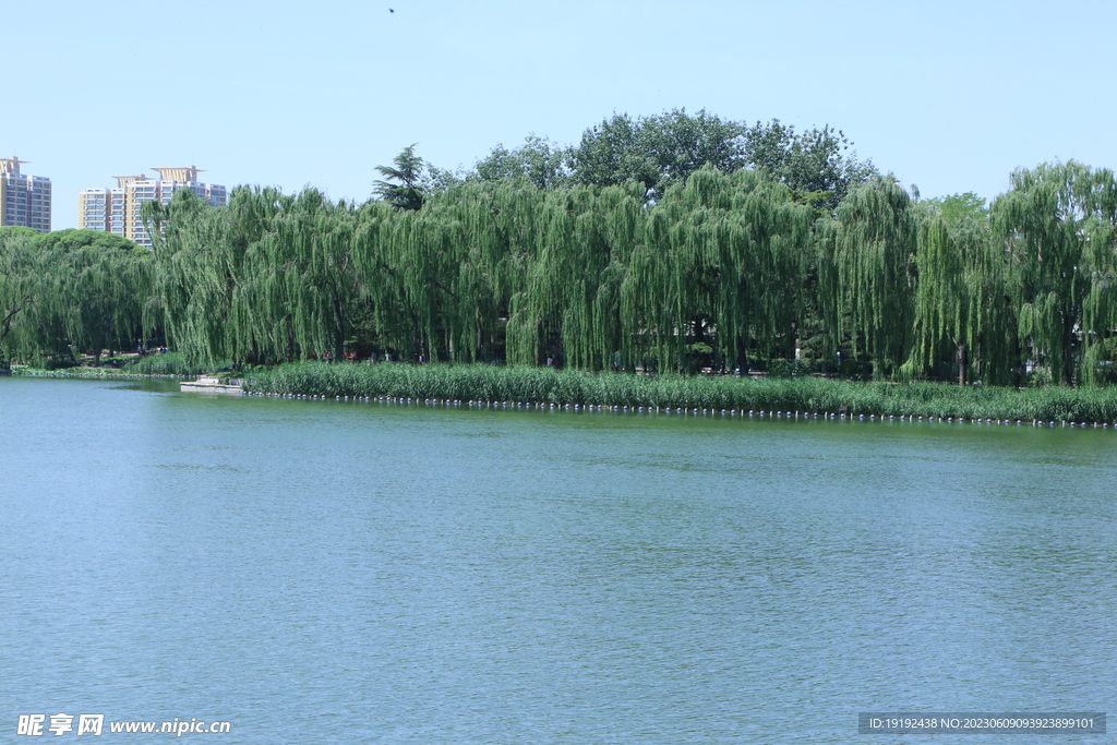 湖水风景