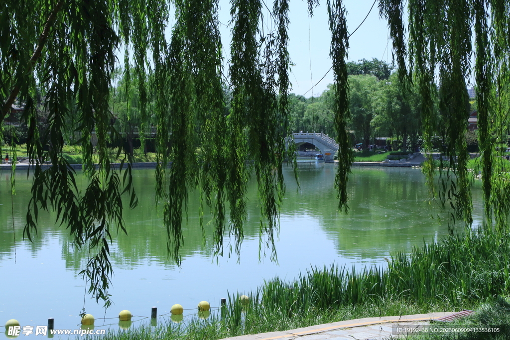 湖水风景 