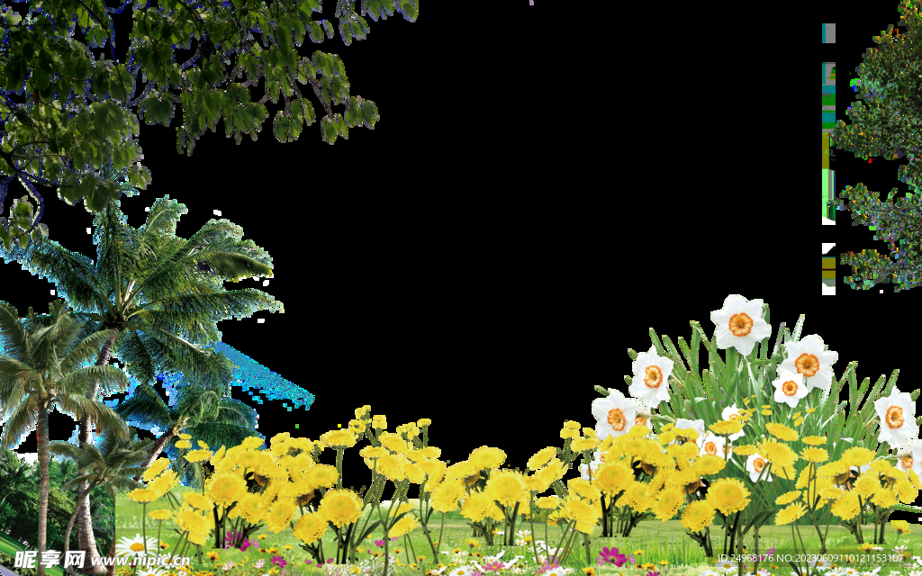花树免抠图