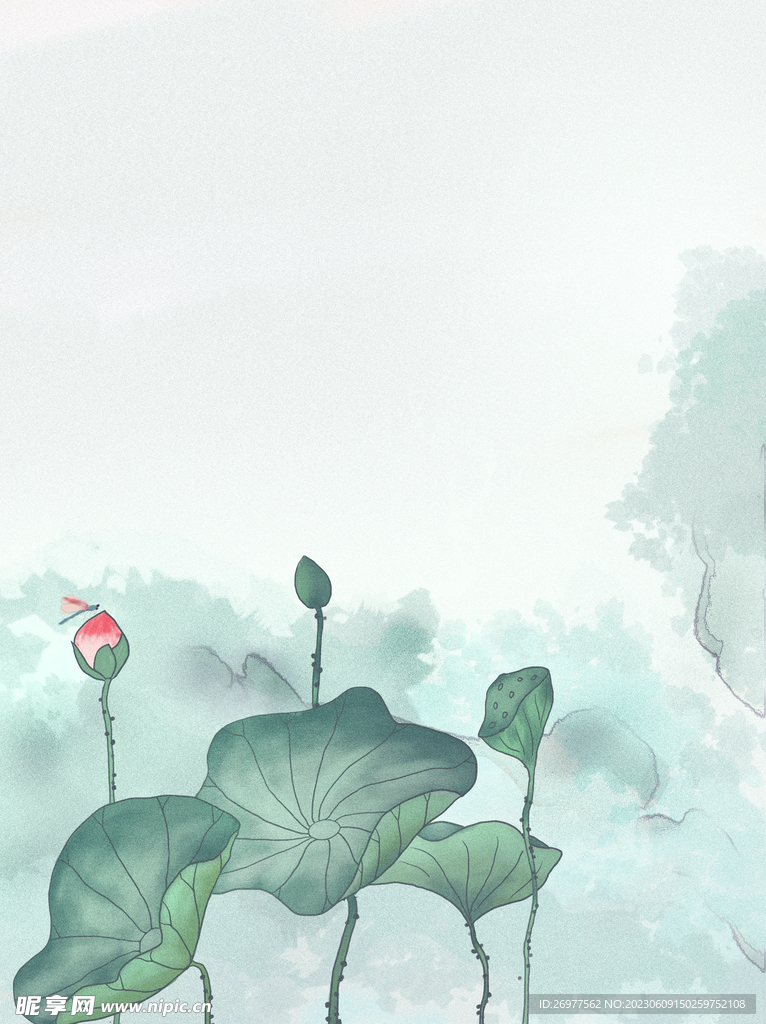  荷花背景