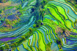 绿山 