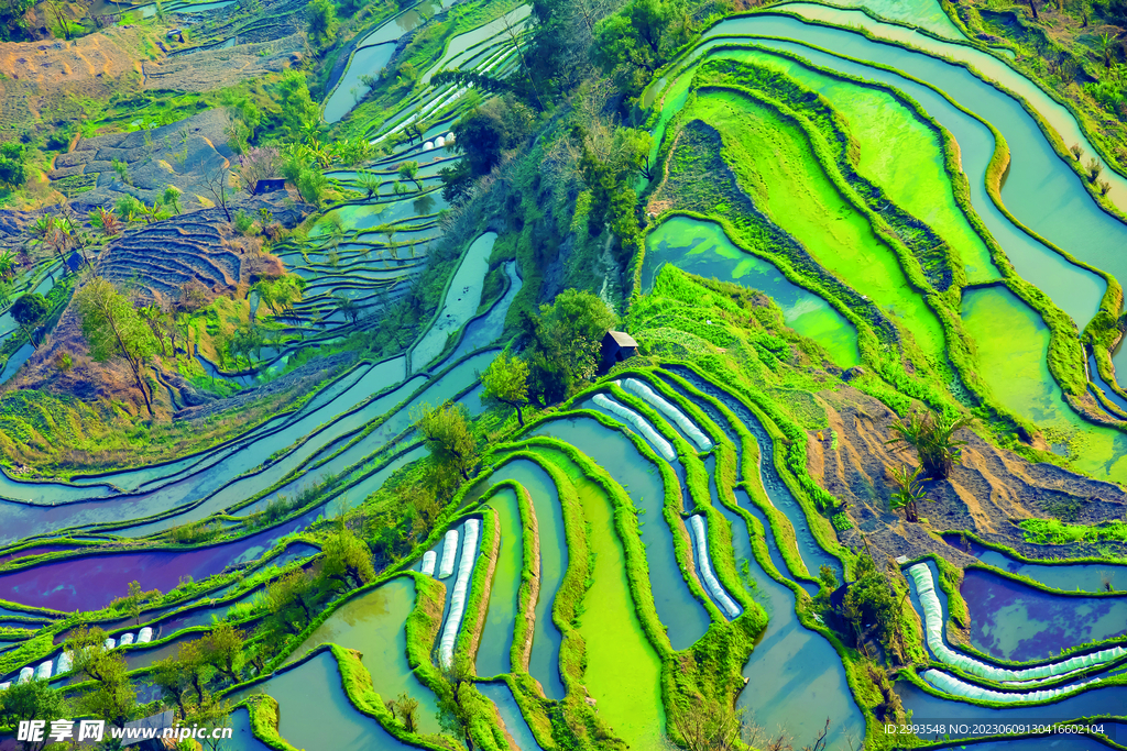 绿山 