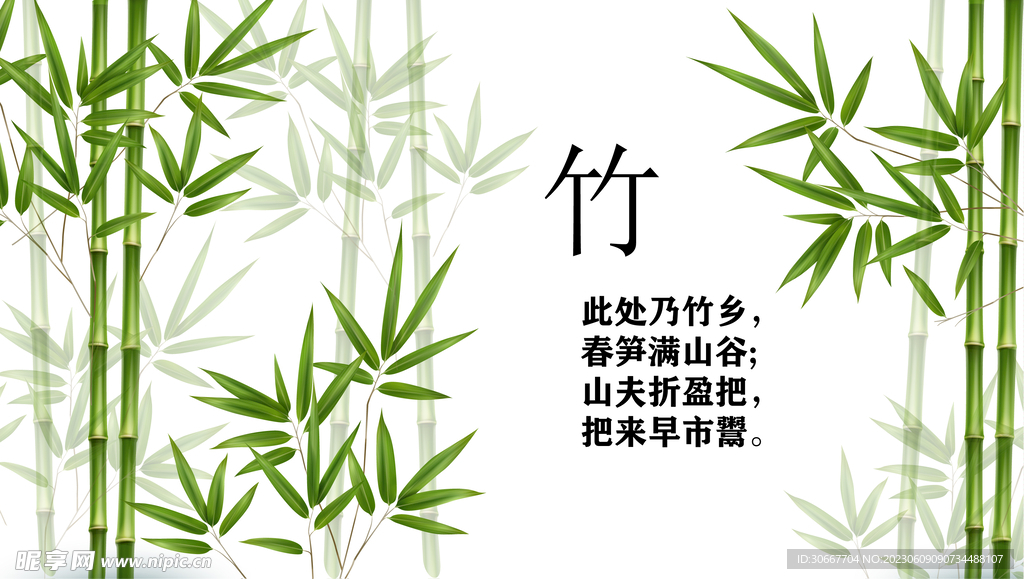 竹