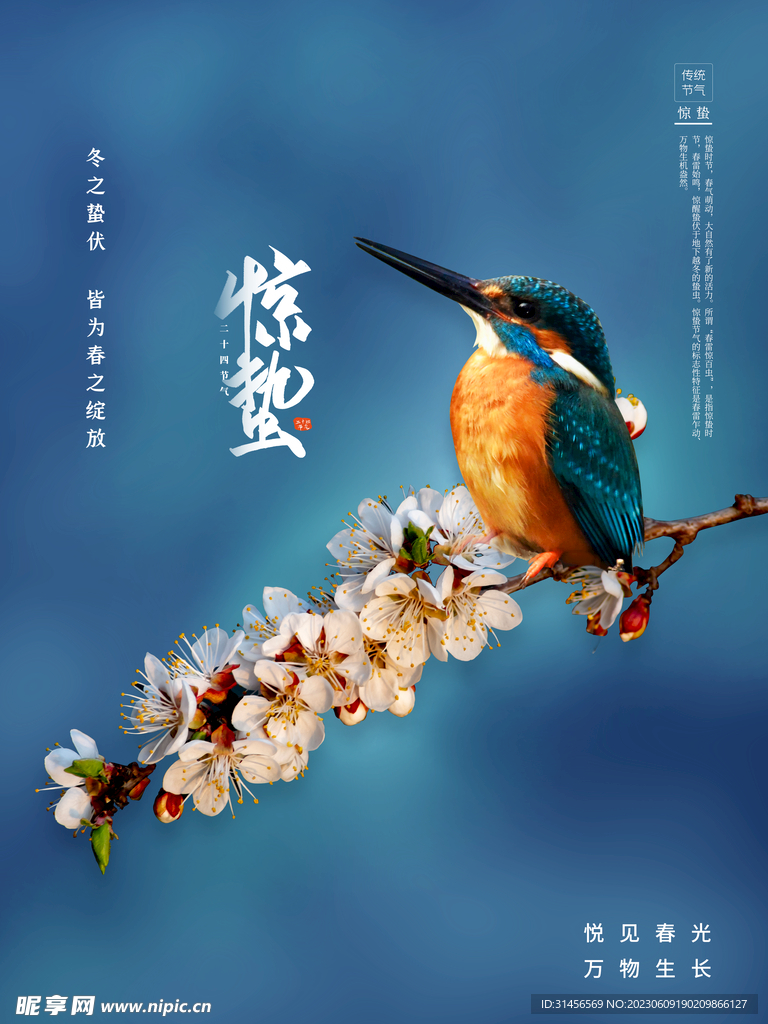 惊蛰