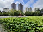 城市风景